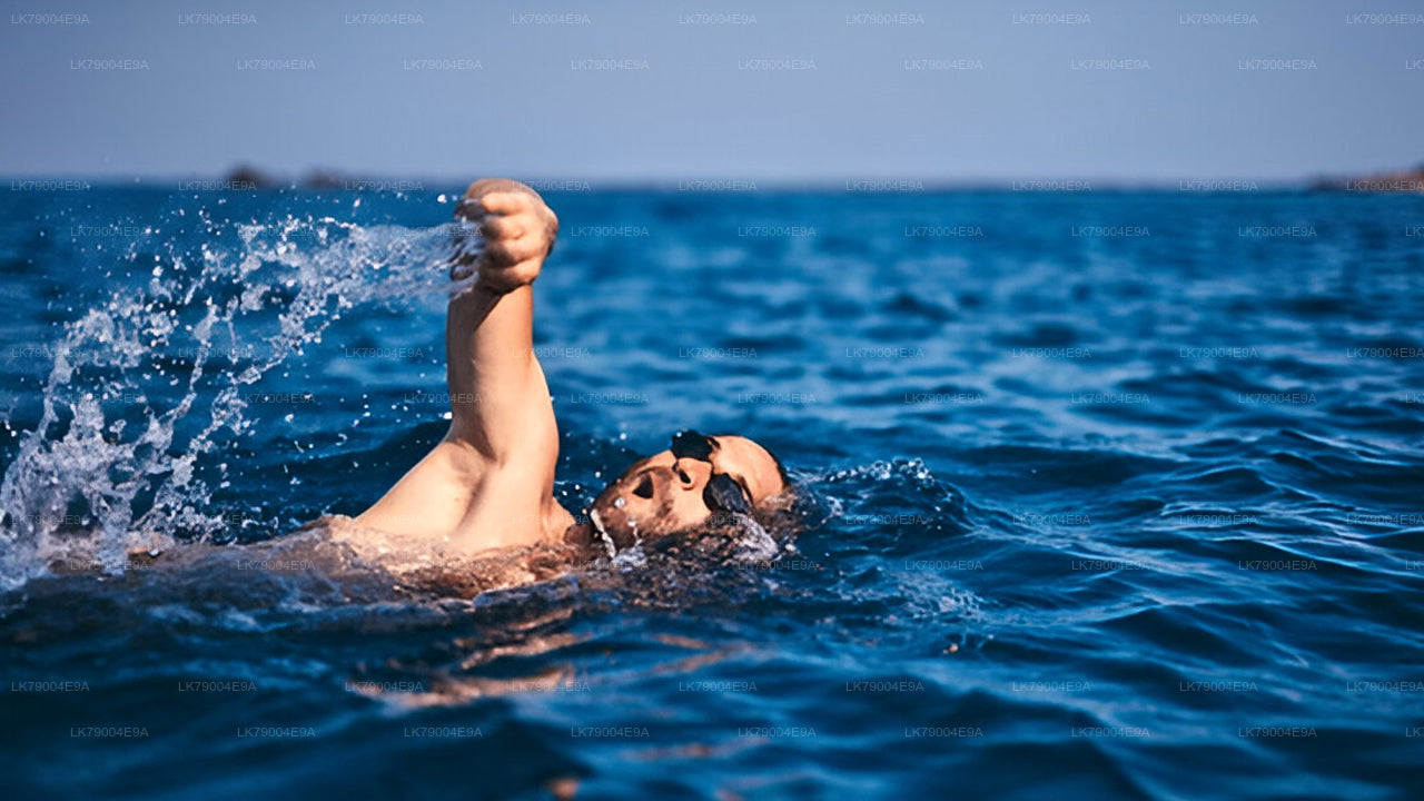 Crucero compartido al atardecer de 3 horas desde Mirissa