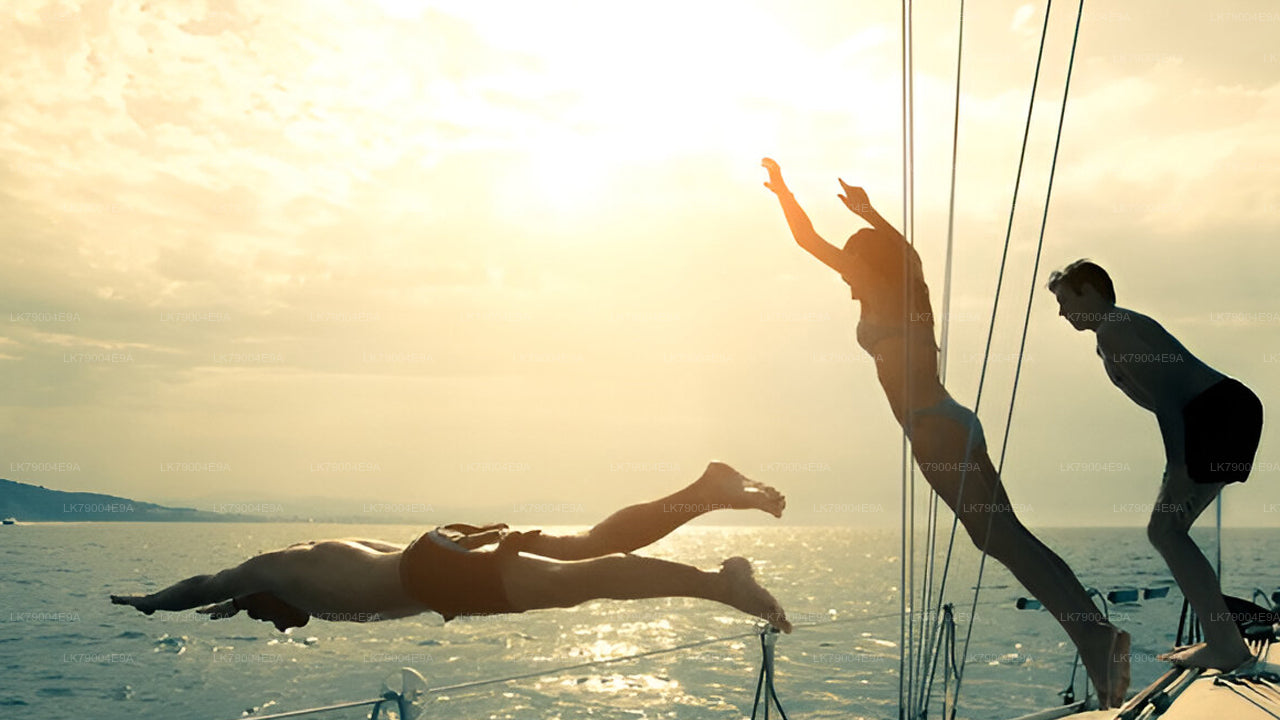 Crucero compartido al atardecer de 3 horas desde Mirissa