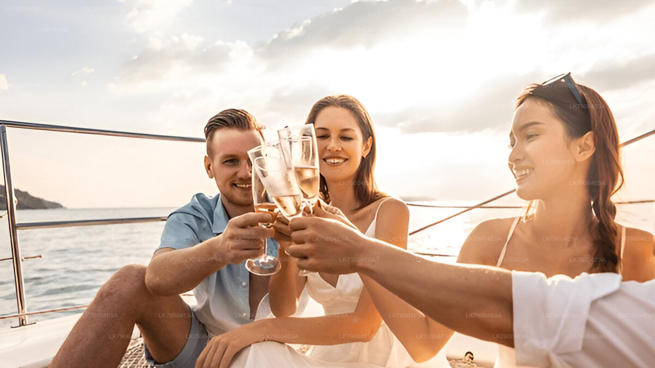 Crucero compartido al atardecer de 3 horas desde Mirissa