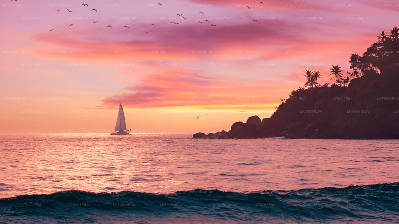 Crucero compartido al atardecer de 3 horas desde Mirissa