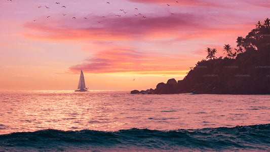 Crucero compartido al atardecer de 3 horas desde Galle