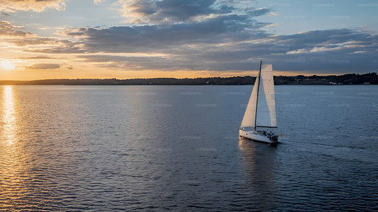 Crucero compartido al atardecer de 3 horas desde Mirissa