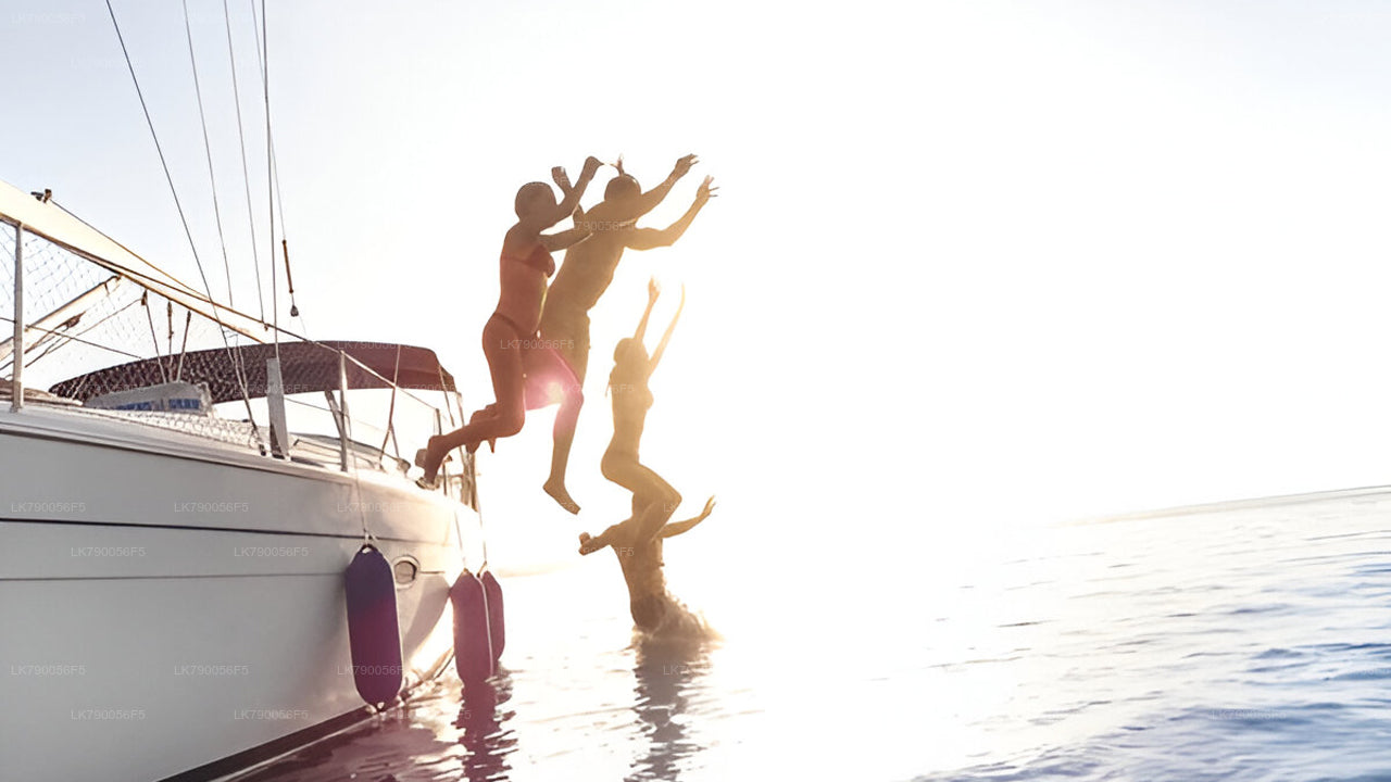 Experiencia de crucero nocturno desde Mirissa en el Ocean Diamond