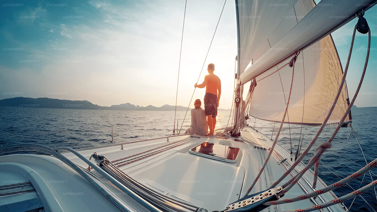 Experiencia de crucero nocturno desde Mirissa en el Ocean Diamond