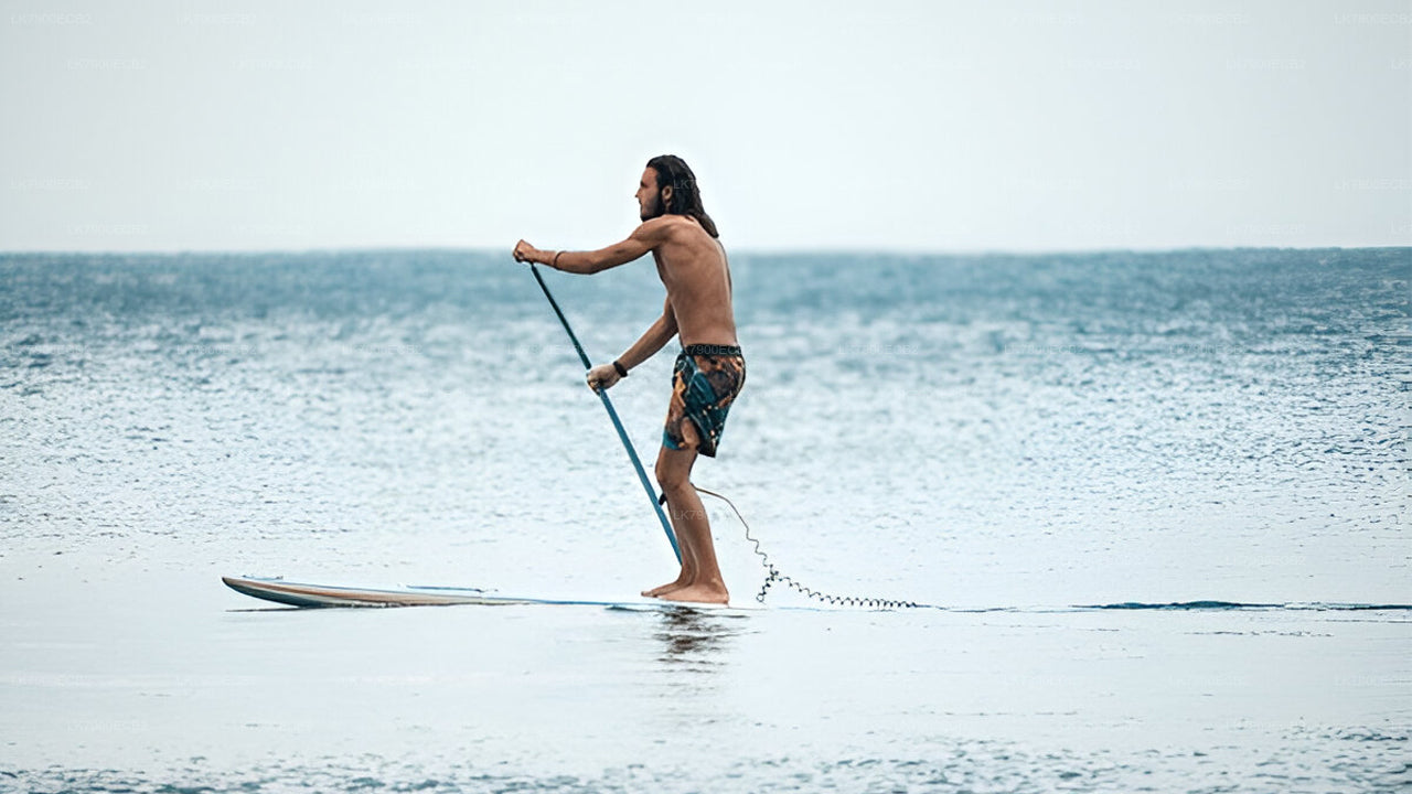 Experiencia de crucero de 6 noches desde Mirissa en el Ocean Diamond