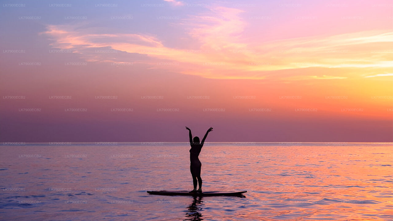Experiencia de crucero de 6 noches desde Mirissa en el Ocean Diamond