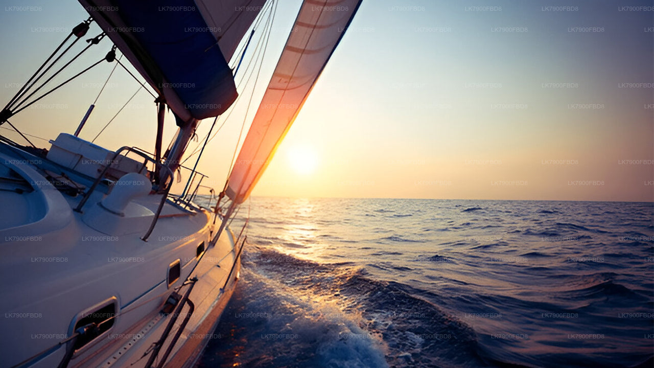 Crucero de 6 noches en Mirissa