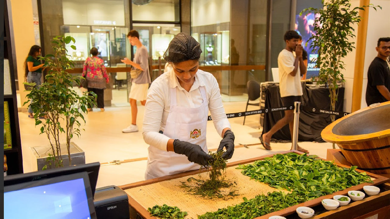 Ceylon Tea Tasting from Colombo Port City