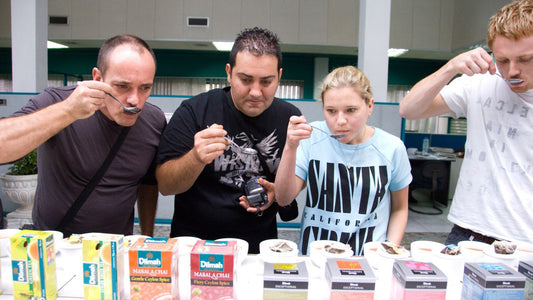 Cata de té de Ceilán en Colombo