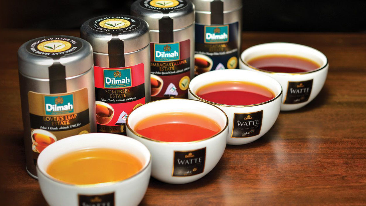 Cata de té de Ceilán en Colombo