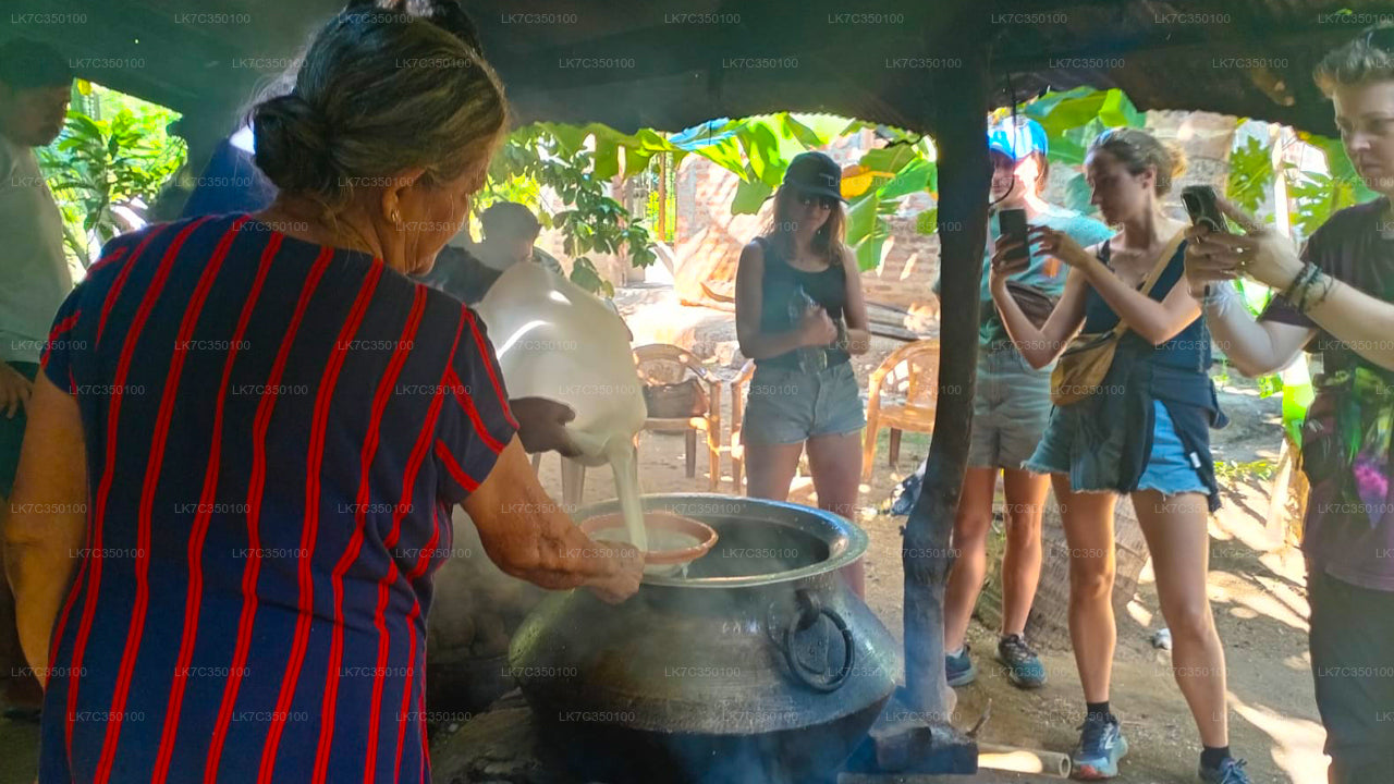 Experiencia en el procesamiento de cuajada de Tissamaharama