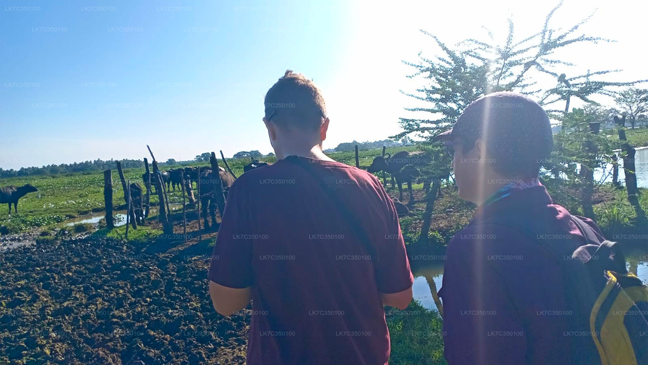 Experiencia en el procesamiento de cuajada de Tissamaharama