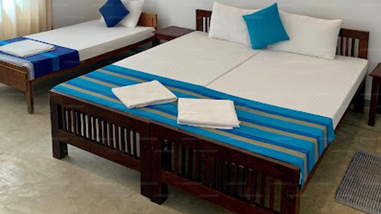 turtles rest & curry bowl, Hikkaduwa