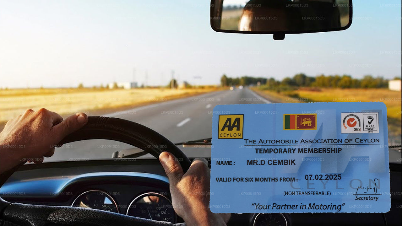 Permiso de Conducir Temporal para Extranjeros