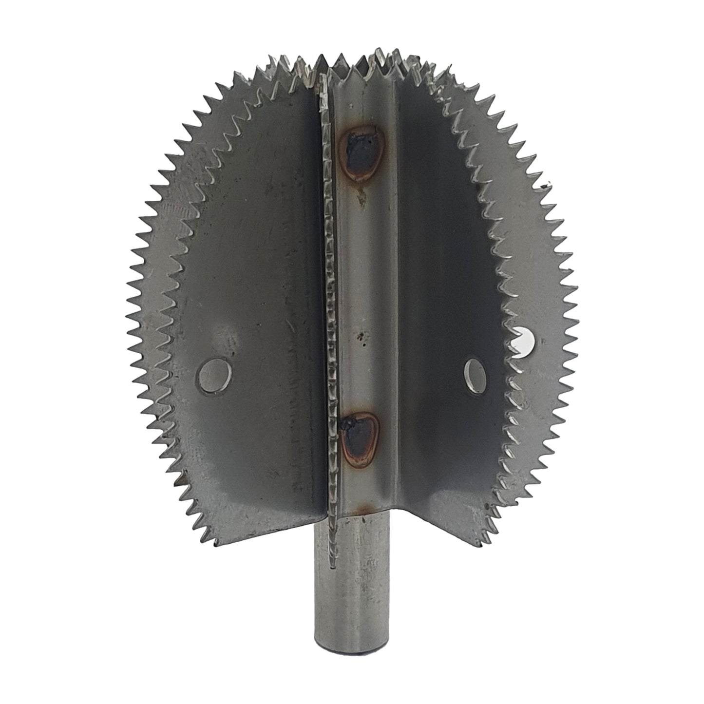 Cuchilla de repuesto para raspador de coco Odiris