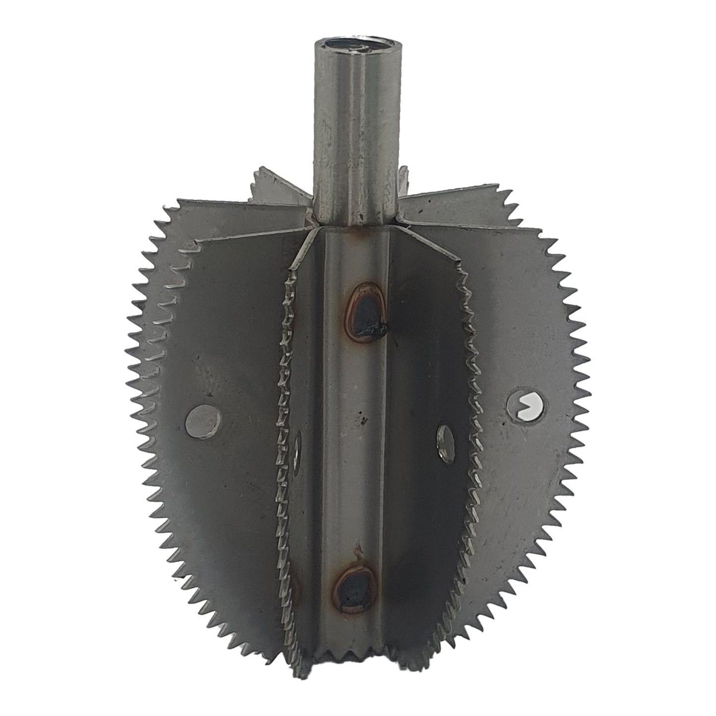 Cuchilla de repuesto para raspador de coco Odiris