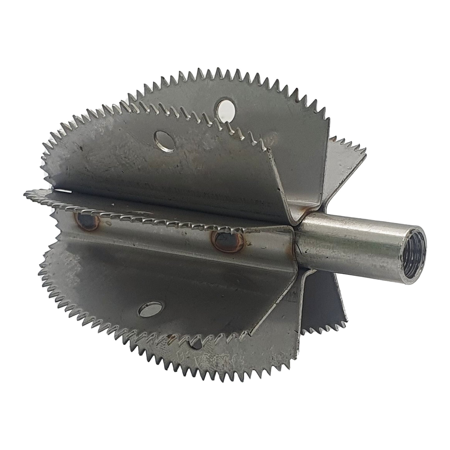 Cuchilla de repuesto para raspador de coco Odiris