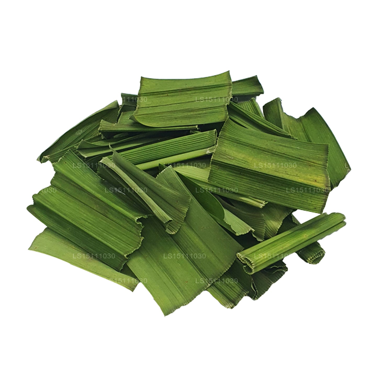 Hojas deshidratadas de Pandan Rampe de Lakpura