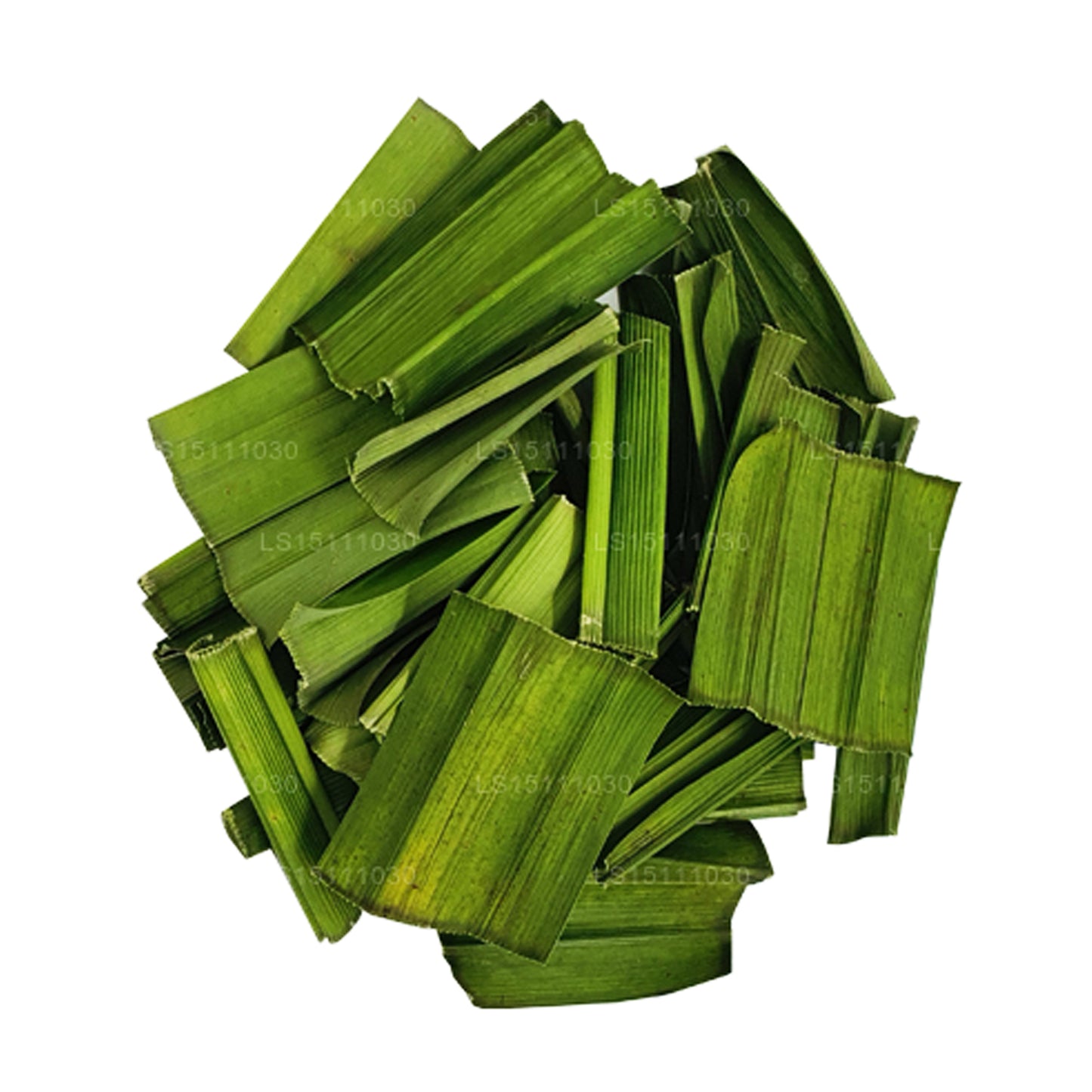 Hojas deshidratadas de Pandan Rampe de Lakpura