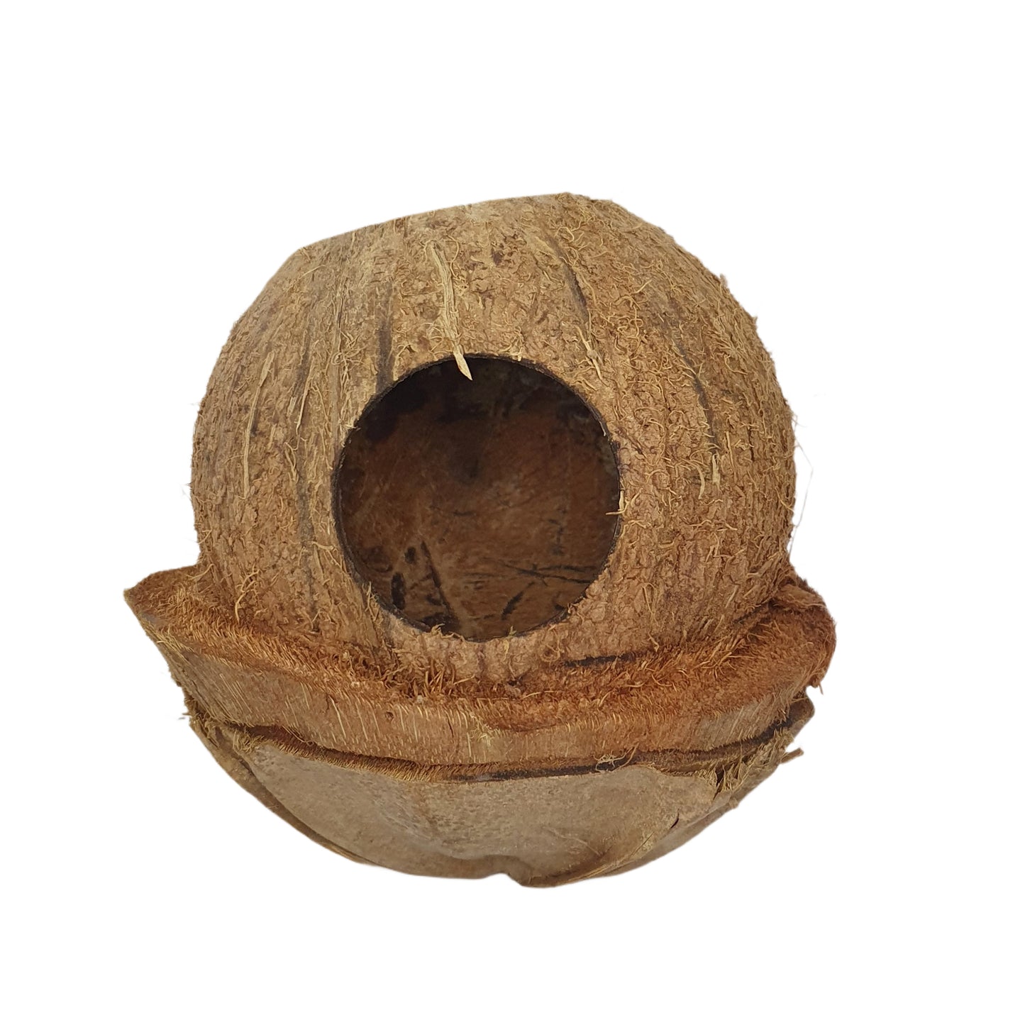 Bivenro Natural Coconut Bird Nest With Husk Cap Design (Free Size)
