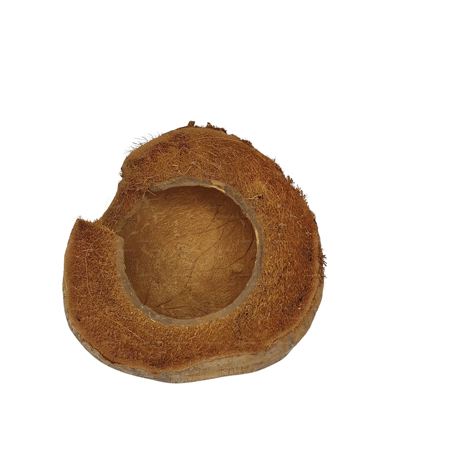 Escondite de cacao Bivenro Natural 3/4 con diseño de cáscara (tamaño único)