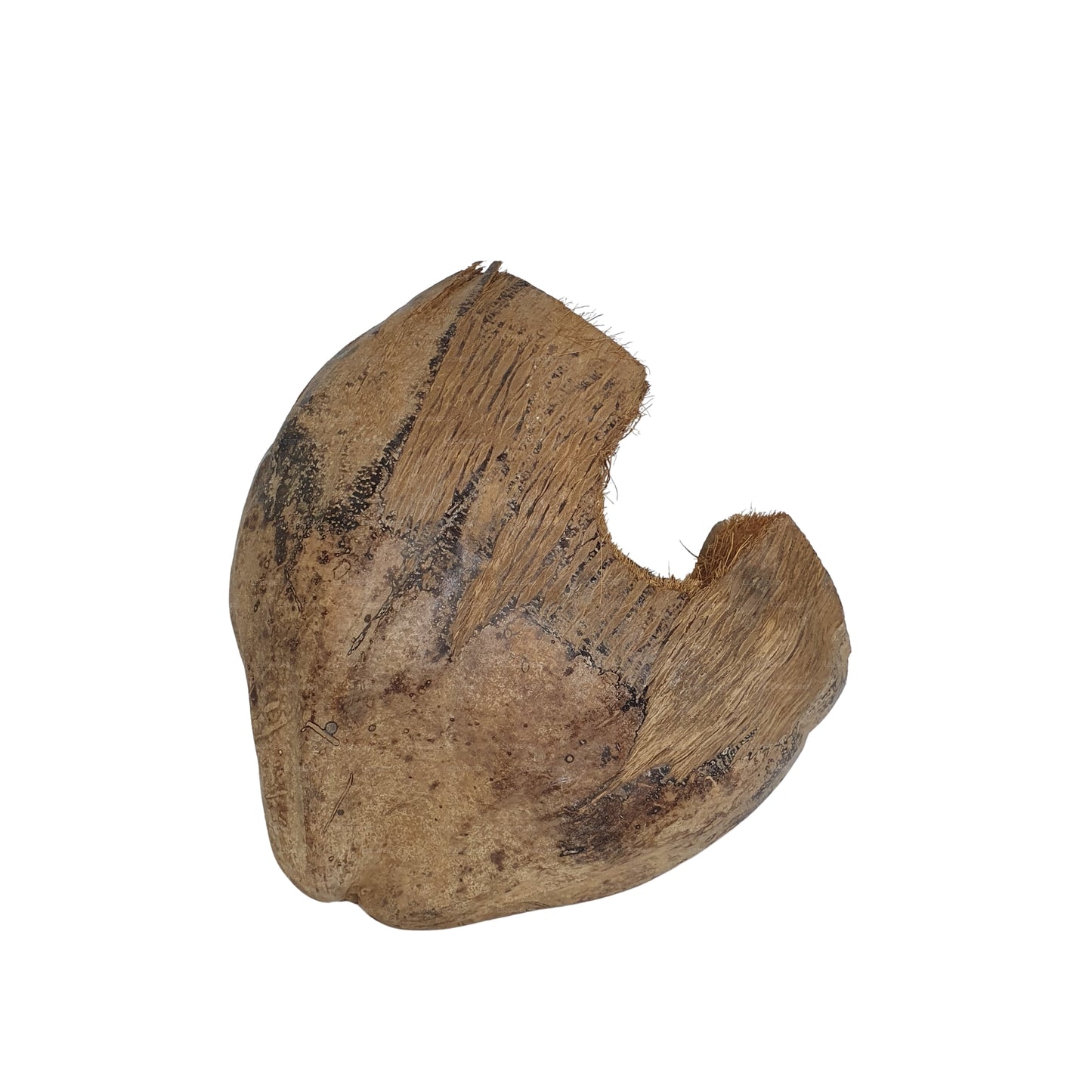 Escondite de cacao Bivenro Natural 3/4 con diseño de cáscara (tamaño único)
