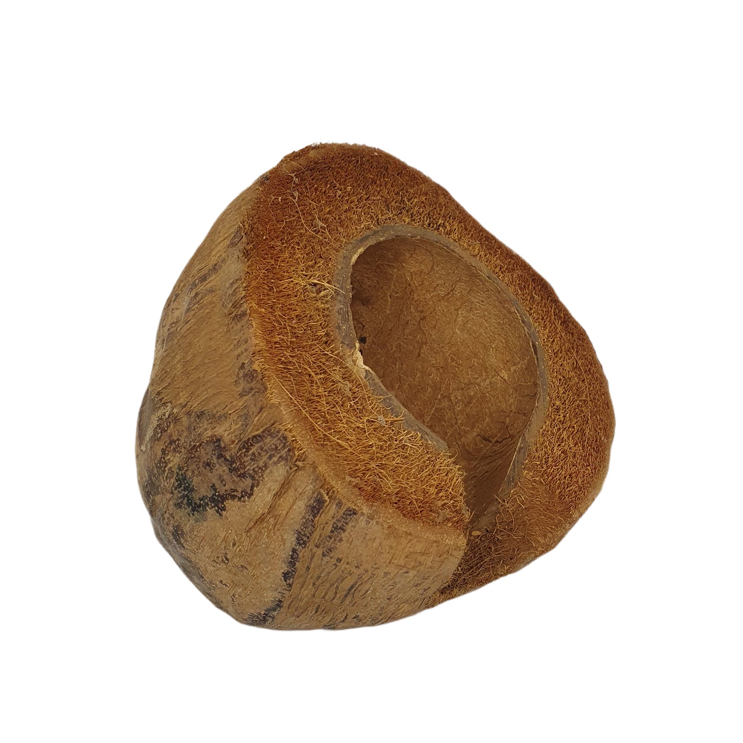 Escondite de cacao Bivenro Natural 3/4 con diseño de cáscara (tamaño único)