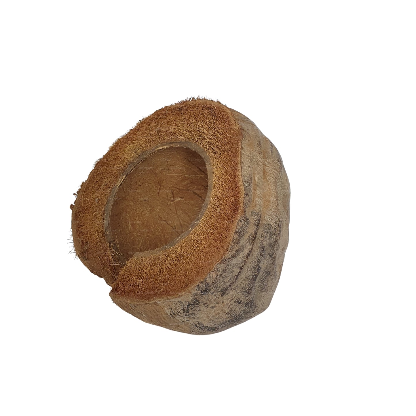 Escondite de cacao Bivenro Natural 3/4 con diseño de cáscara (tamaño único)