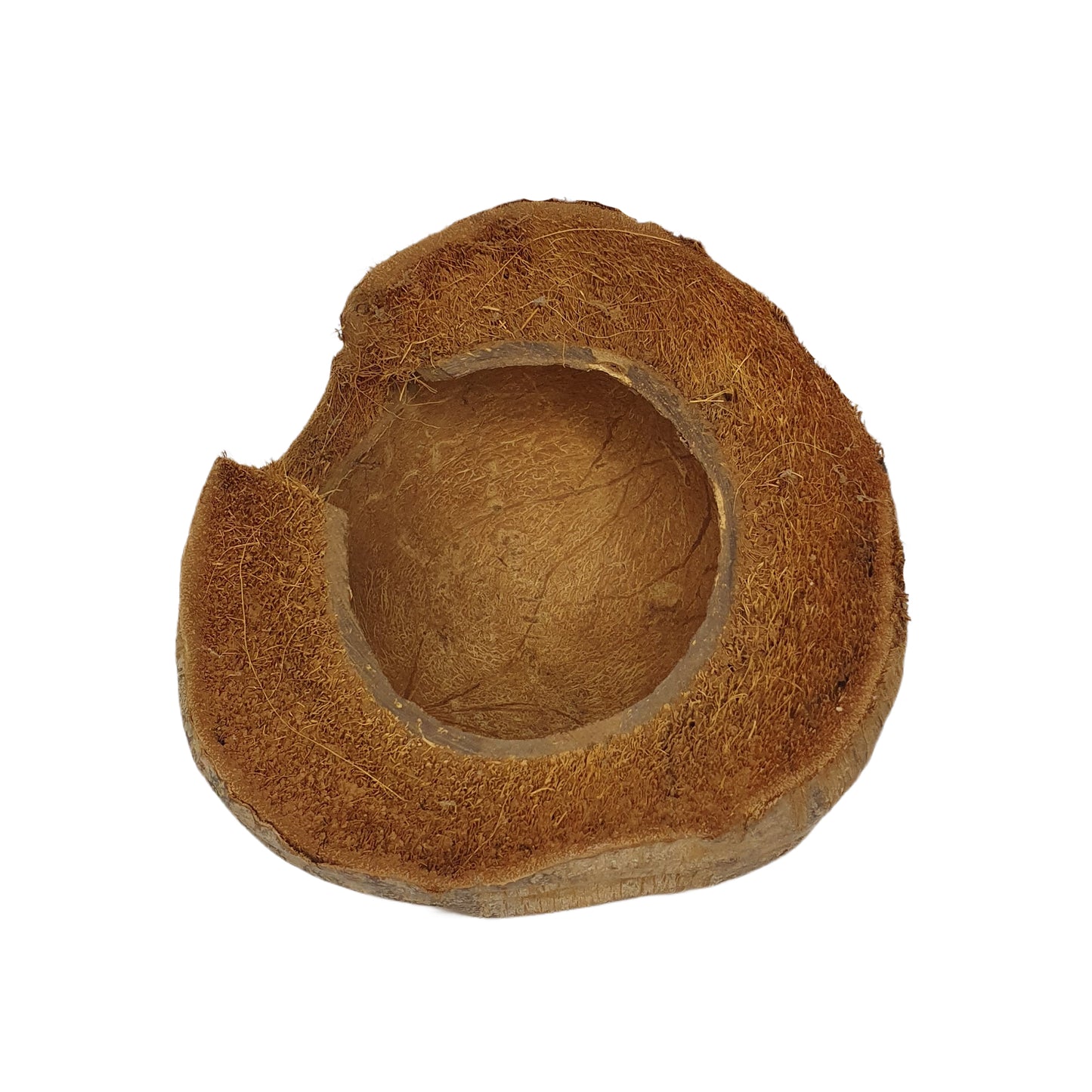 Escondite de cacao Bivenro Natural 3/4 con diseño de cáscara (tamaño único)