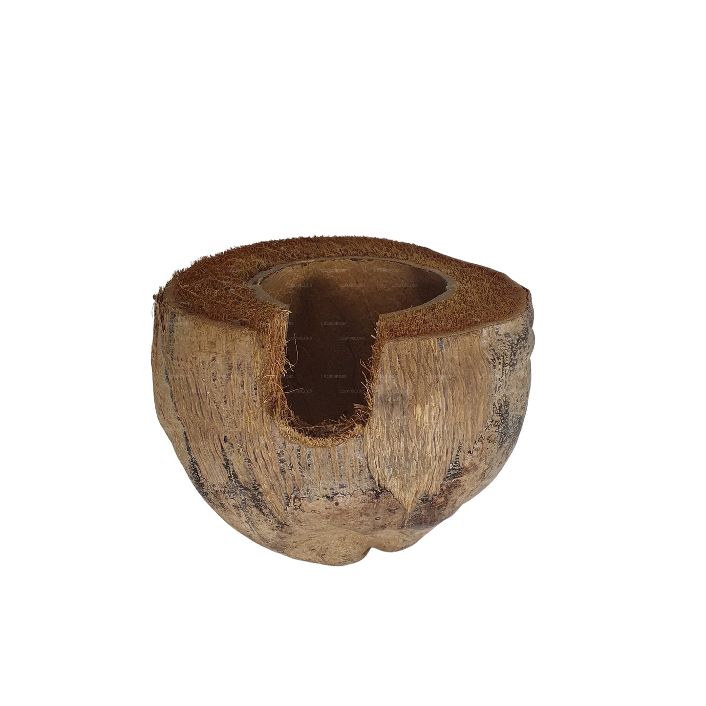 Escondite de cacao Bivenro Natural 3/4 con diseño de cáscara (tamaño único)