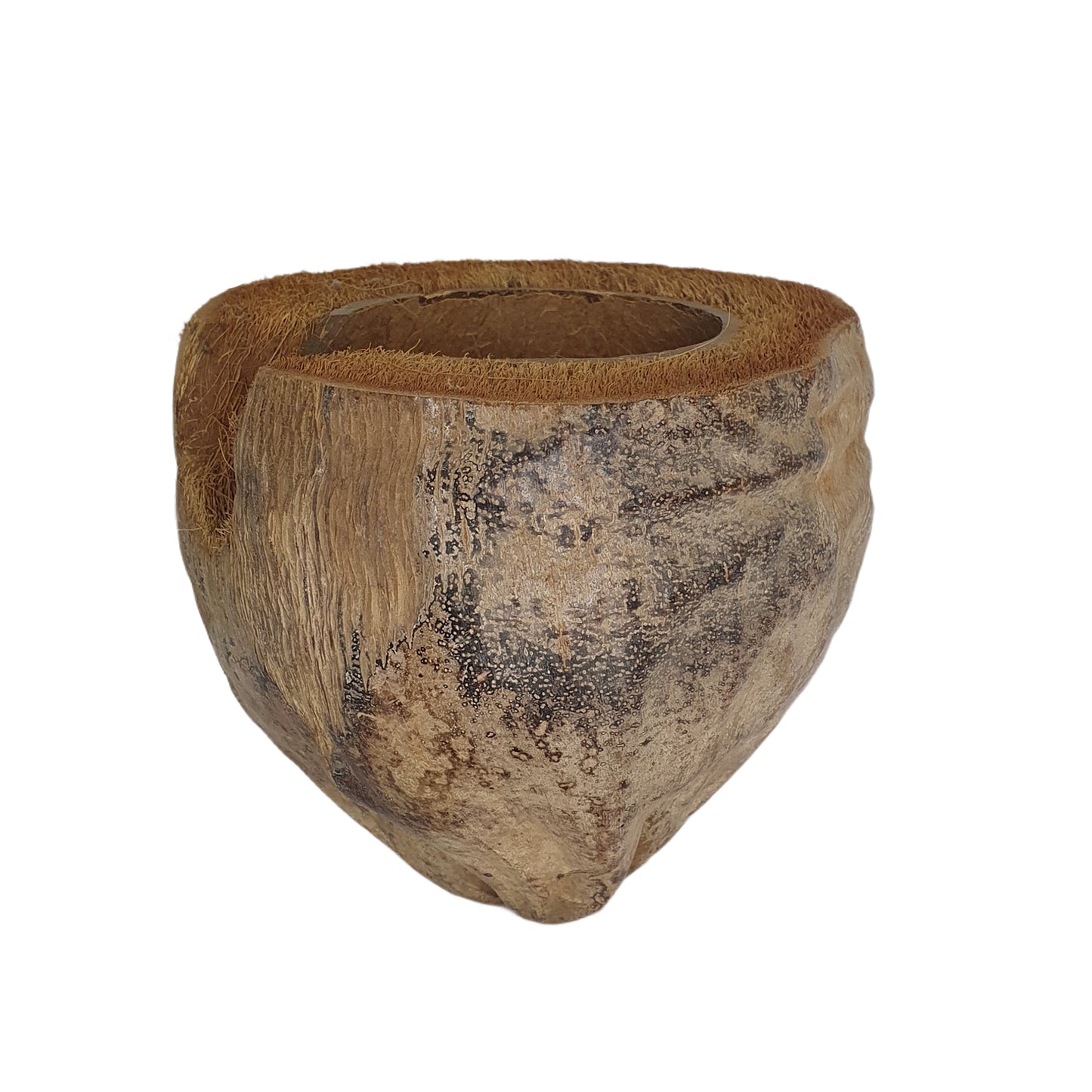 Escondite de cacao Bivenro Natural 3/4 con diseño de cáscara (tamaño único)