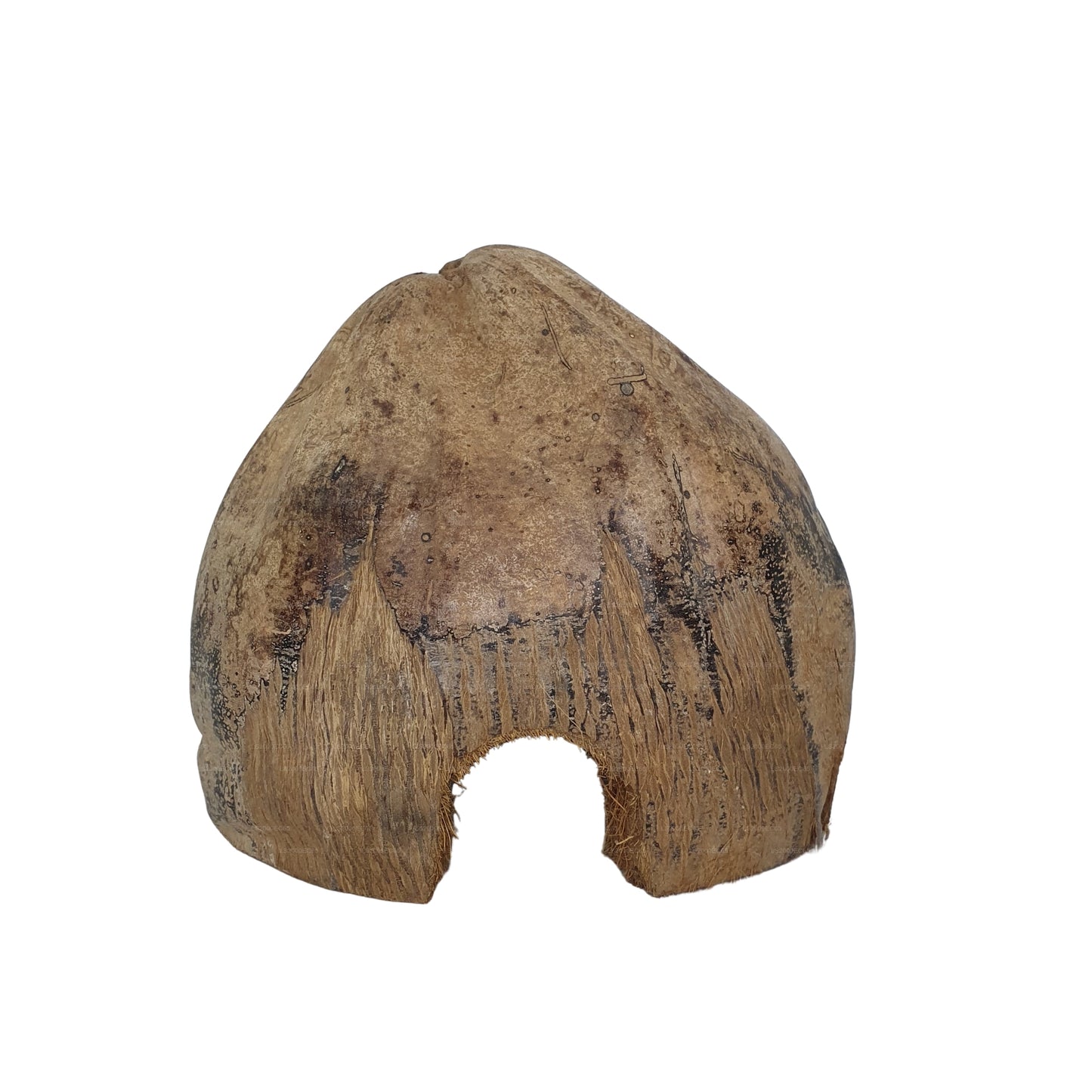 Escondite de cacao Bivenro Natural 3/4 con diseño de cáscara (tamaño único)