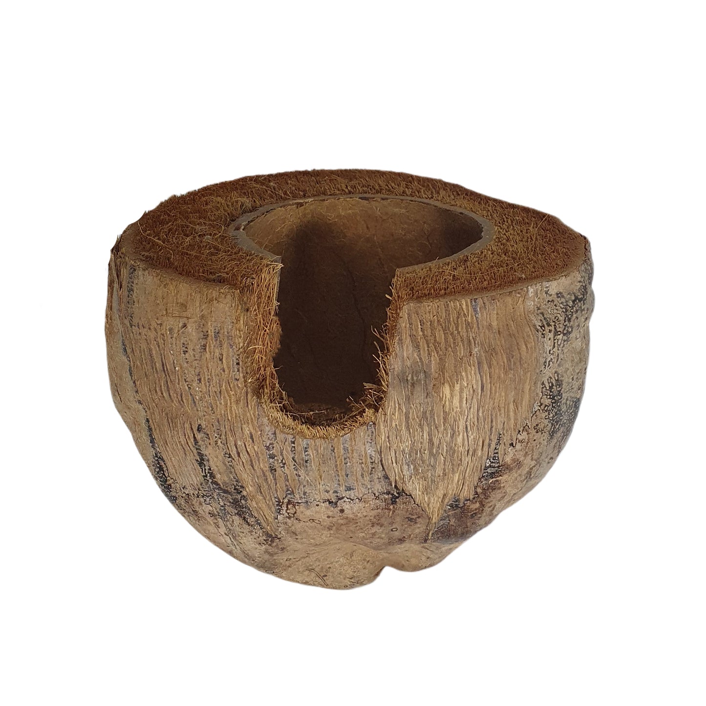 Escondite de cacao Bivenro Natural 3/4 con diseño de cáscara (tamaño único)