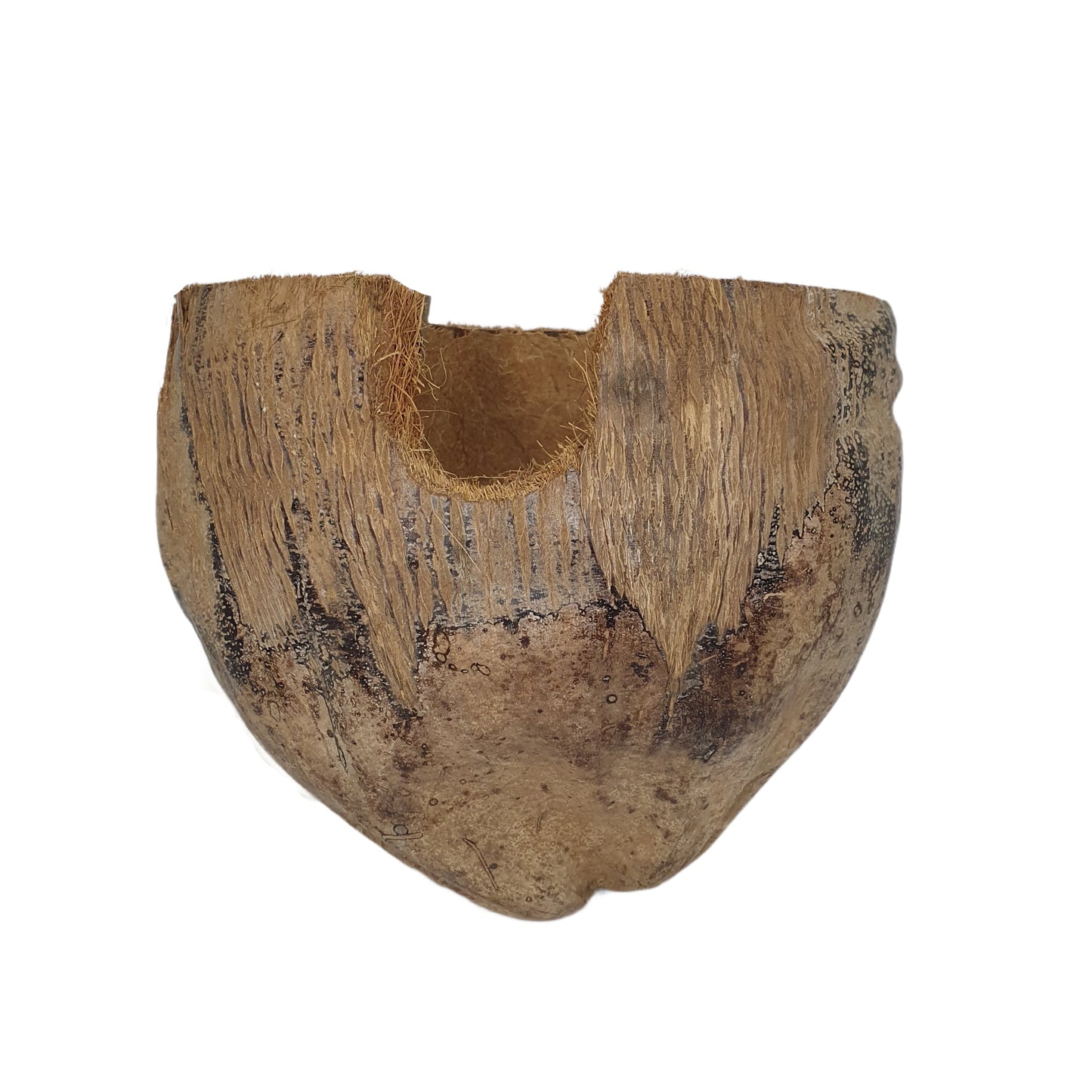 Escondite de cacao Bivenro Natural 3/4 con diseño de cáscara (tamaño único)