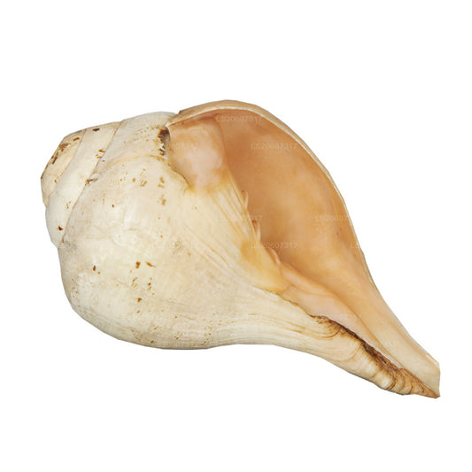 Lakpura, Sri Lanka, Hakgediya