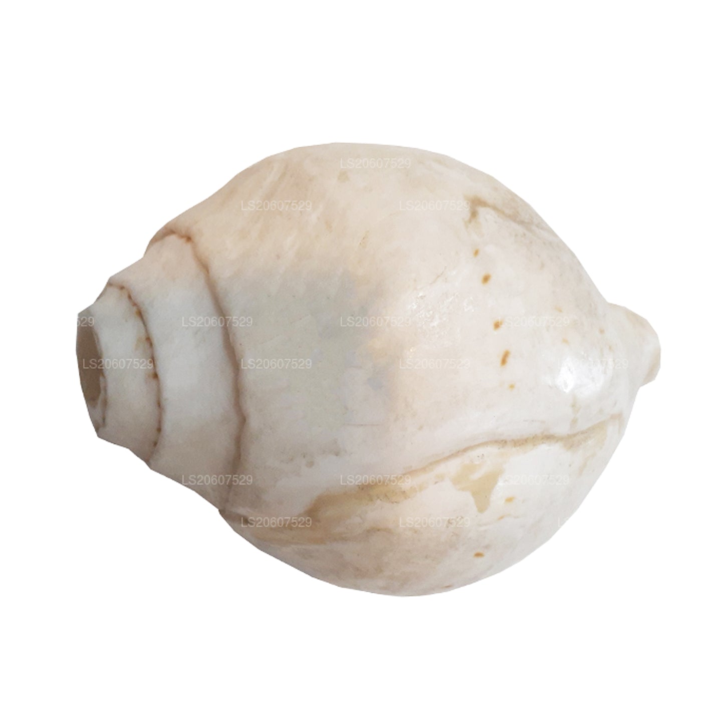 Lakpura, Sri Lanka, Hakgediya