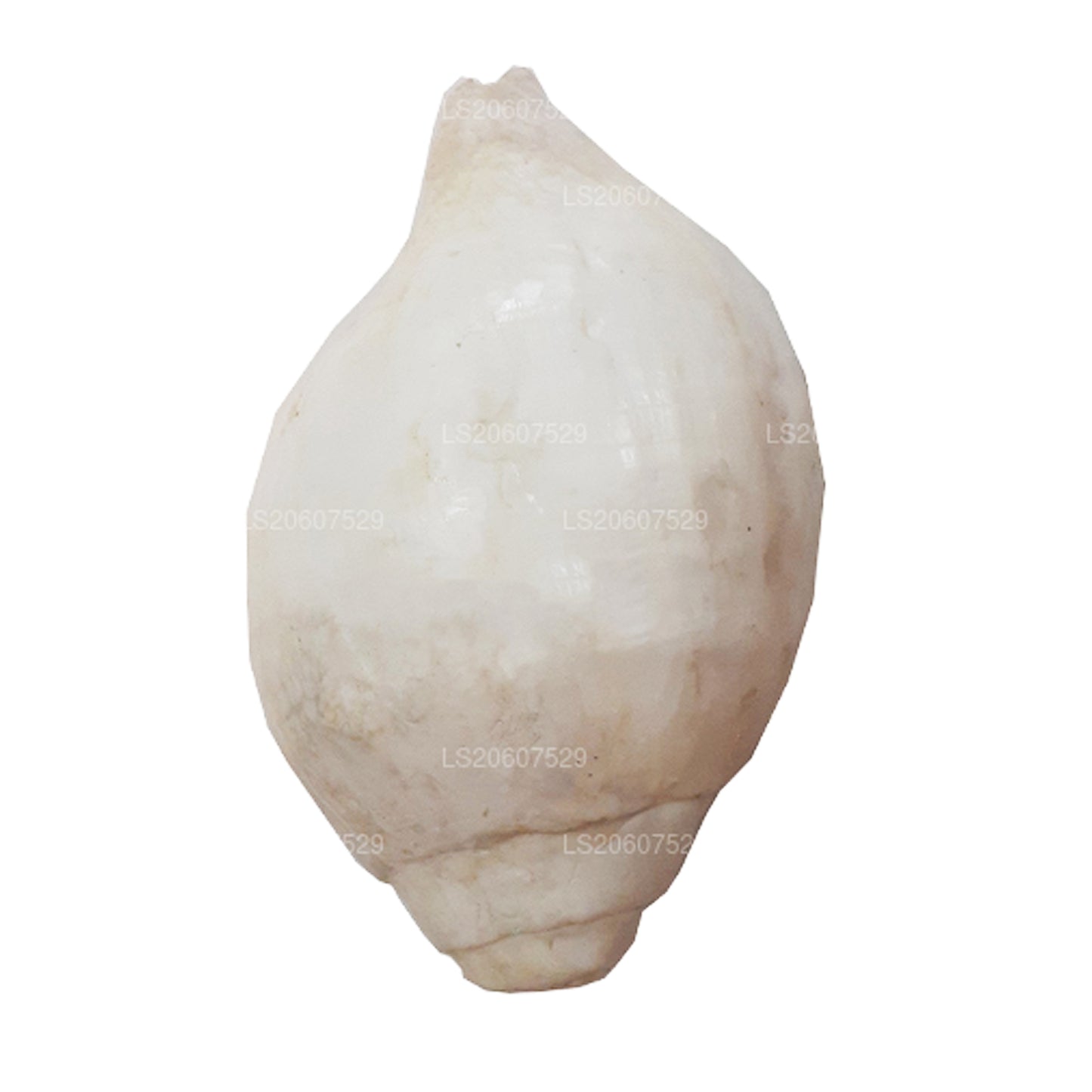 Lakpura, Sri Lanka, Hakgediya