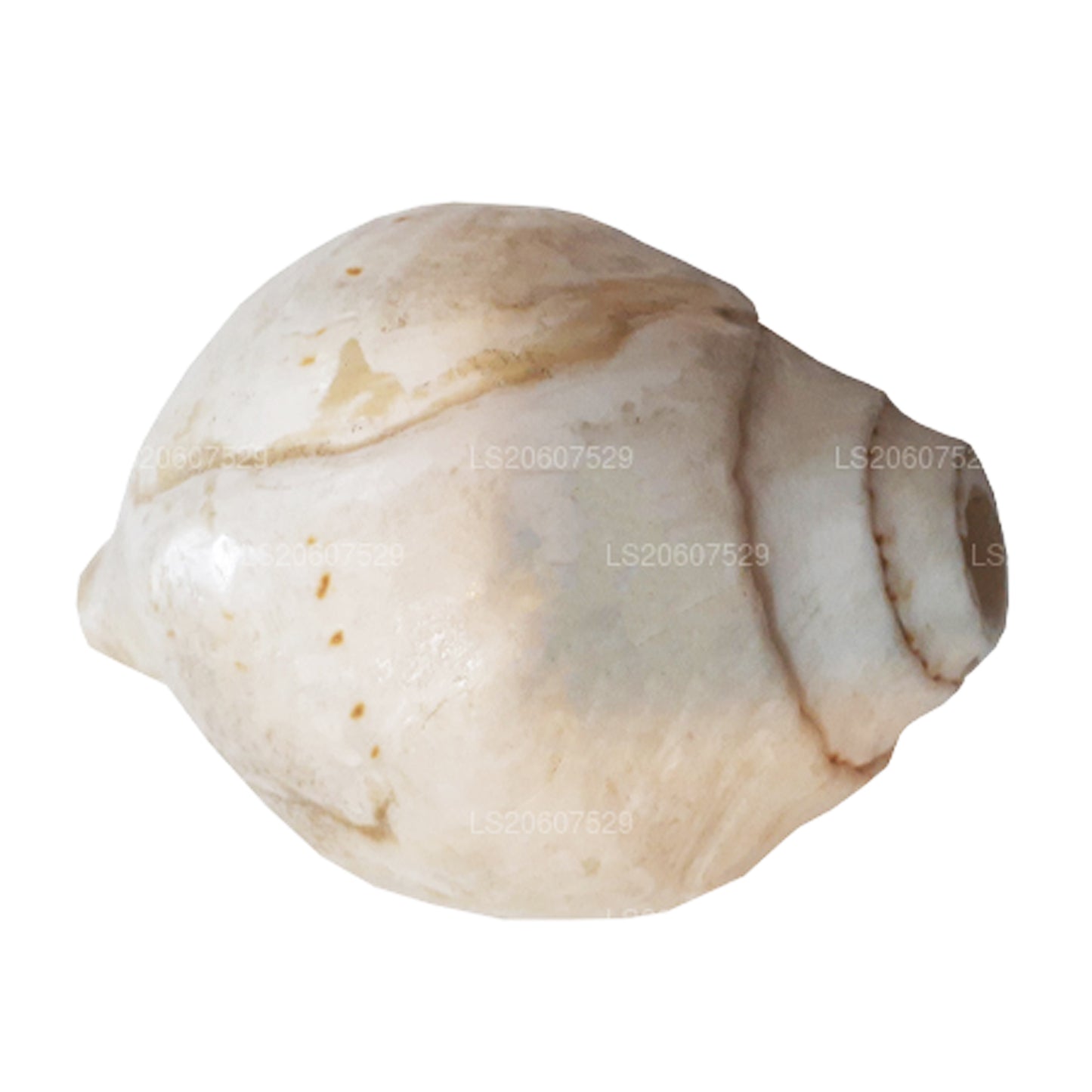 Lakpura, Sri Lanka, Hakgediya