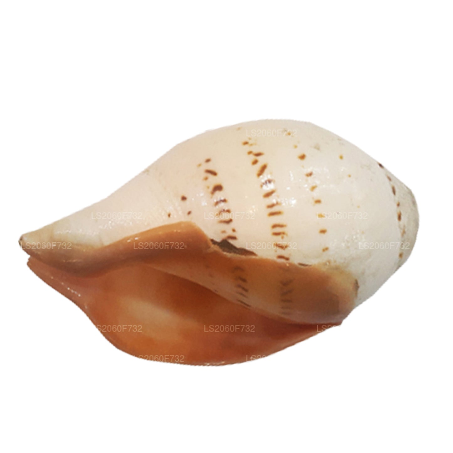 Lakpura, Sri Lanka, Hakgediya