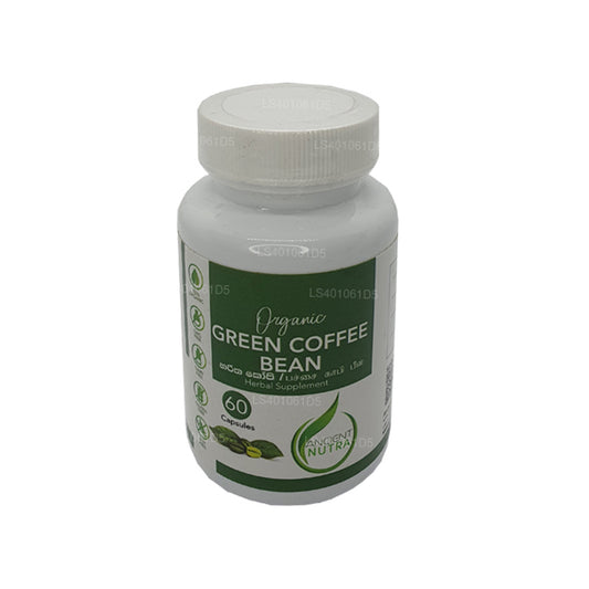 Grano de café verde Ancient Nutra (60 cápsulas)