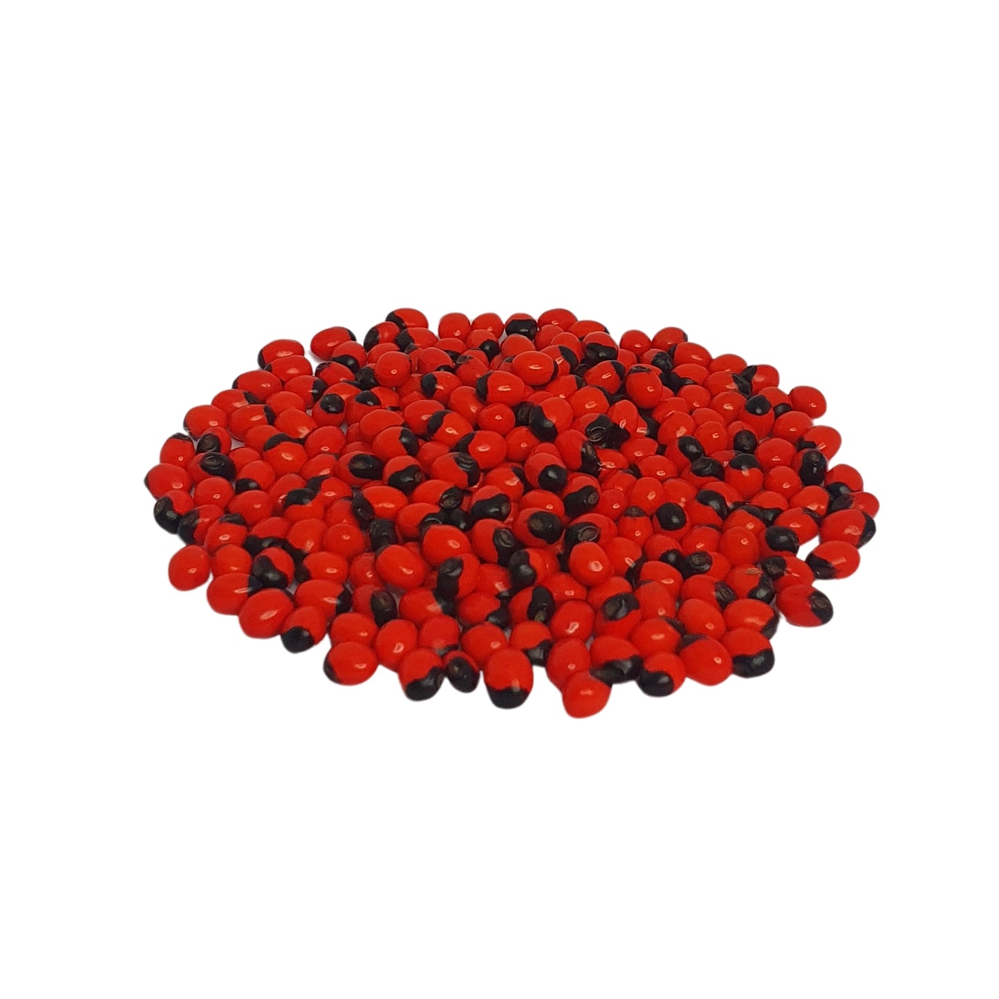 Semillas de Lakpura® Olinda (abrus marroquí)
