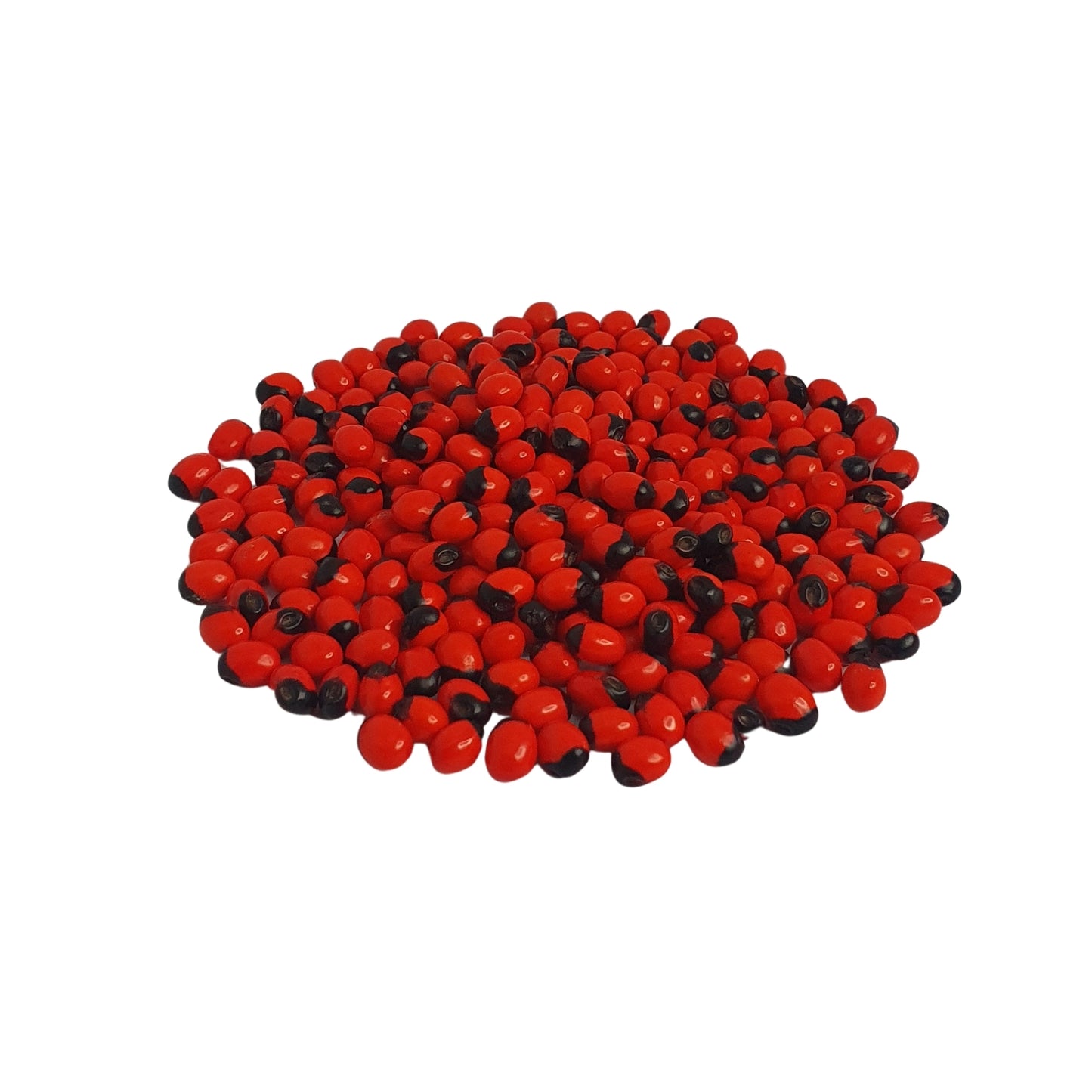 Semillas de Lakpura® Olinda (abrus marroquí)