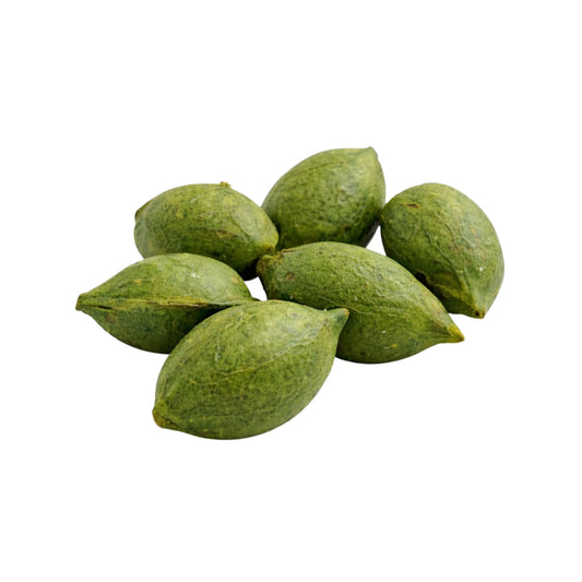 Lakpura® Terminalia Catappa (Kottamba) Semilla Entera