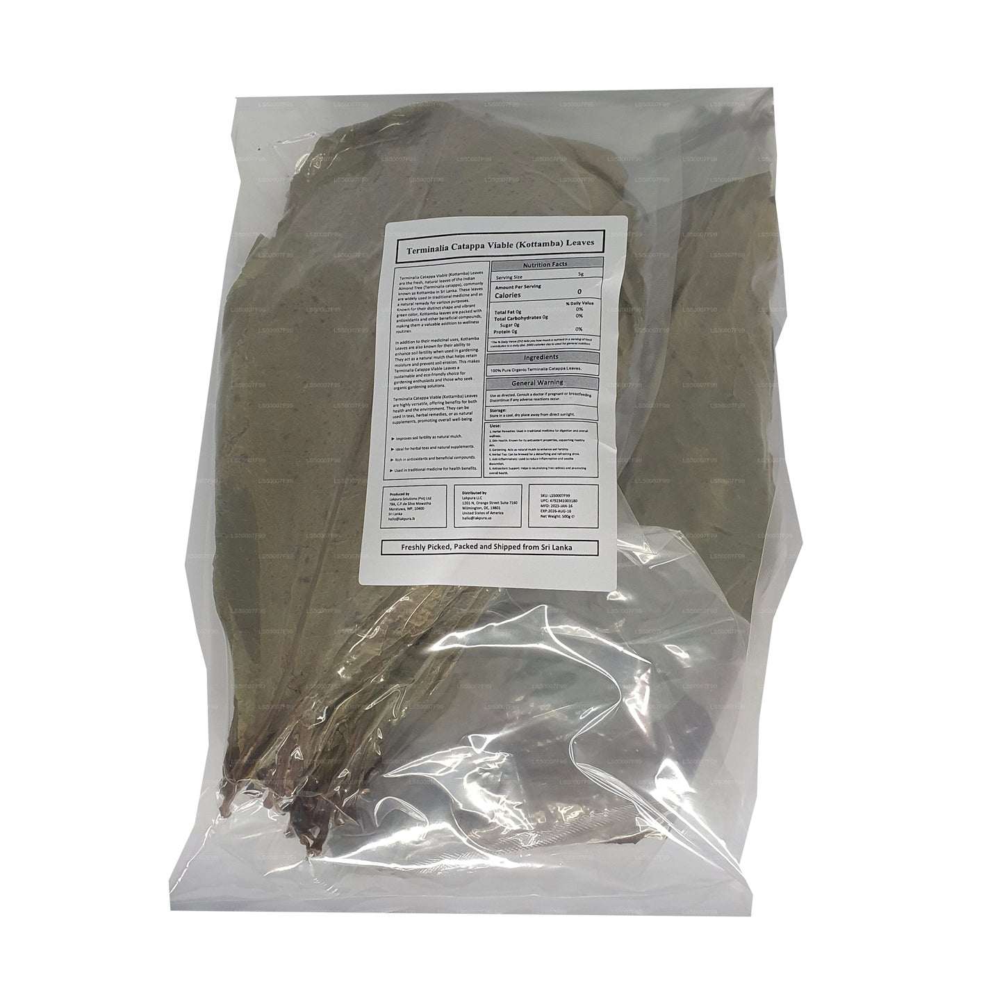 Lakpura deshidratada (Kottan, Kottamba, almendra india) Terminalia catappa 100 hojas (100 g)