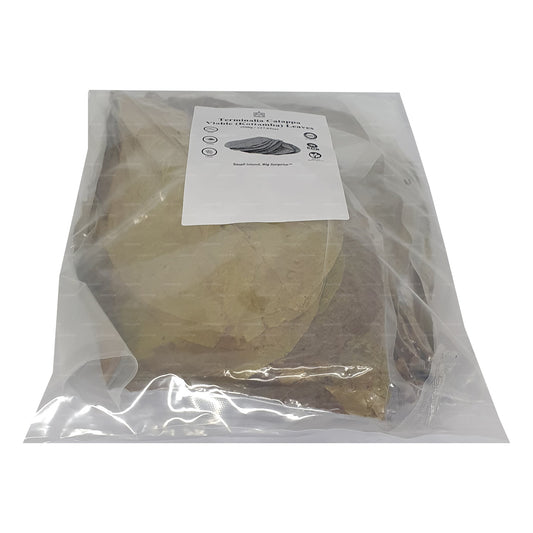 Lakpura deshidratada (Kottan, Kottamba, almendra india) Terminalia catappa 100 hojas (100 g)