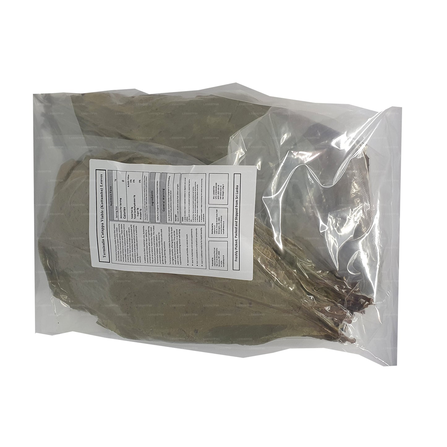 Lakpura deshidratada (Kottan, Kottamba, almendra india) Terminalia catappa 100 hojas (100 g)