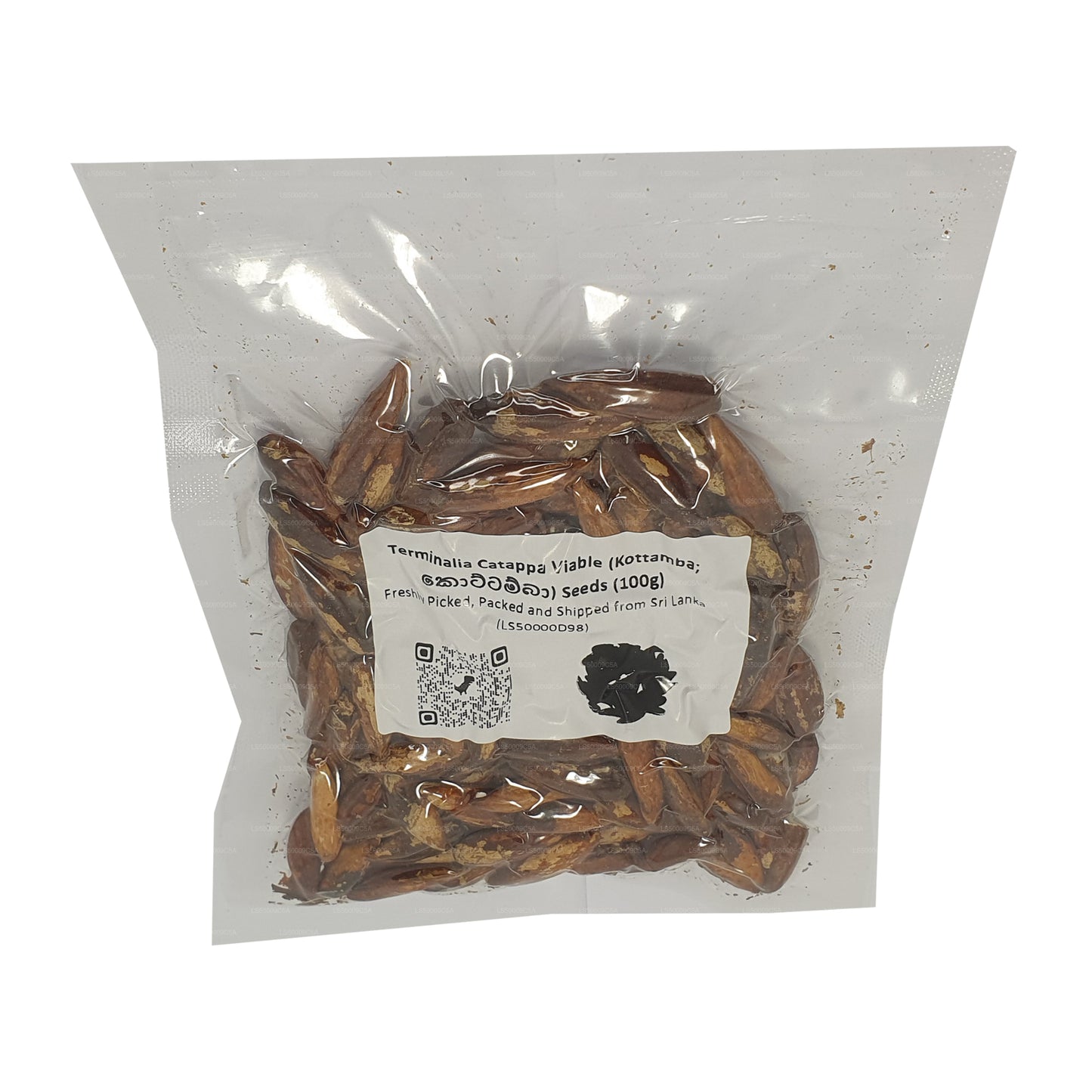 Semillas viables de Terminalia Catappa (Kottamba) Lakpura®