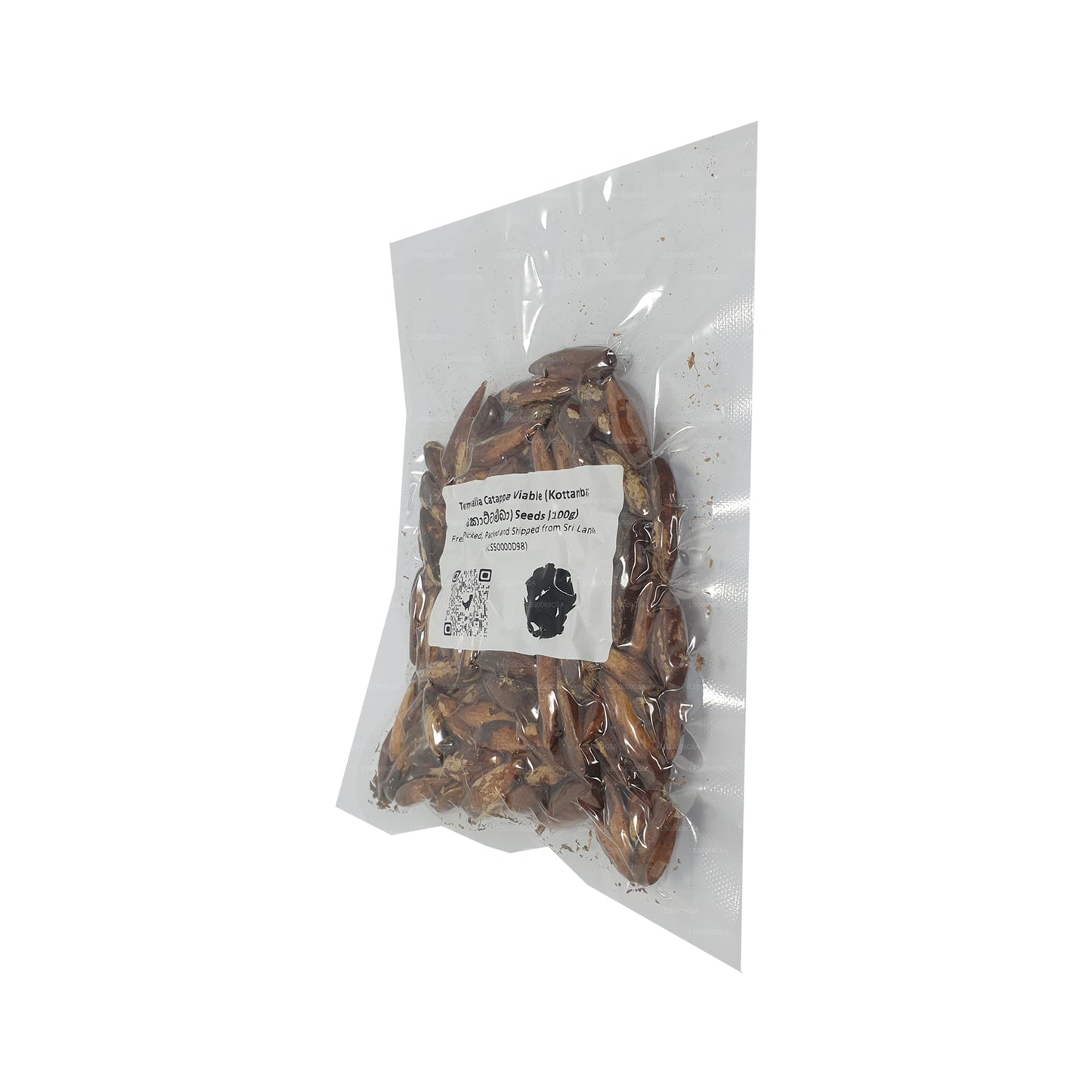 Semillas viables de Terminalia Catappa (Kottamba) Lakpura®