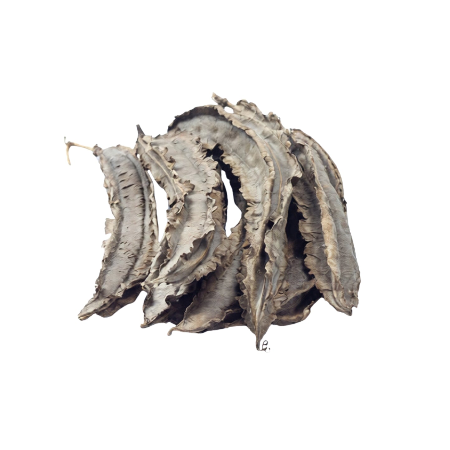 Frijoles alados Lakpura