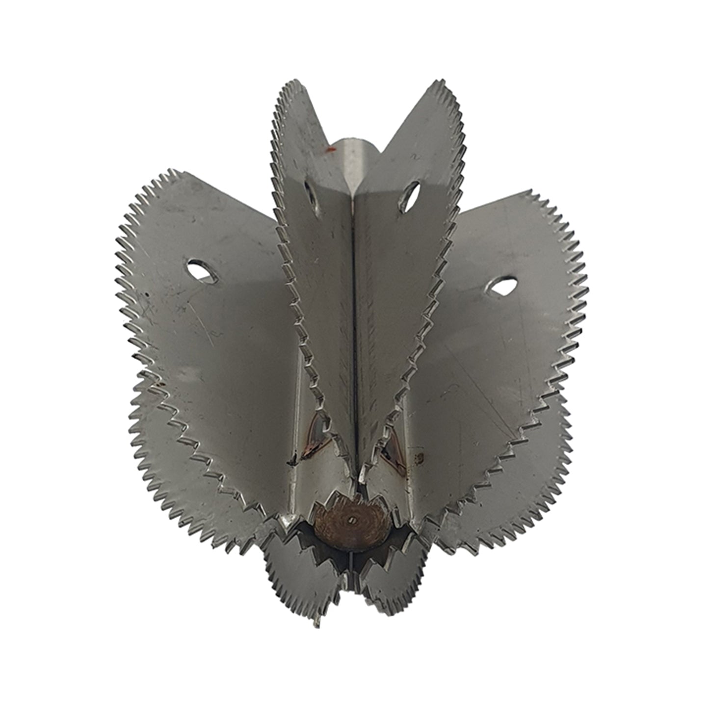 Cuchilla de repuesto para raspador de coco Odiris